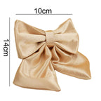 D&D Paws  Gold Satin Wedding Dog Collar, Harness & Leash Set – Classic Elegance