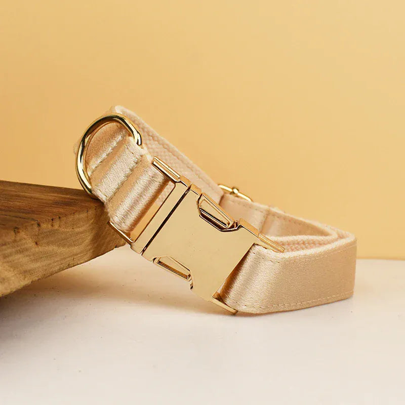 D&D Paws  Gold Satin Wedding Dog Collar, Harness & Leash Set – Classic Elegance