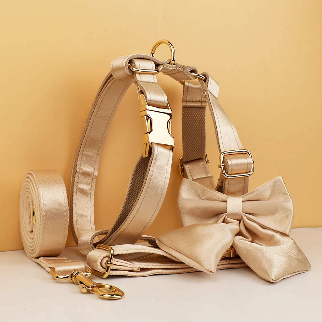 D&D Paws  Gold Satin Wedding Dog Collar, Harness & Leash Set – Classic Elegance