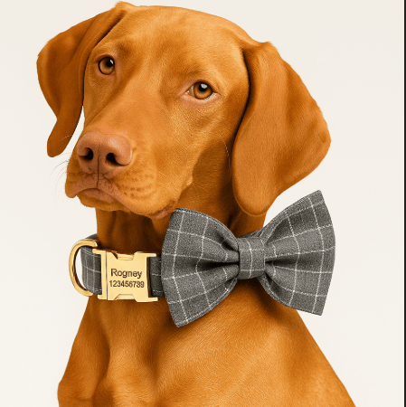 D&D Paws  Gray Plaid - Classic Elegance Set