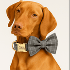 D&D Paws  Gray Plaid - Classic Elegance Set