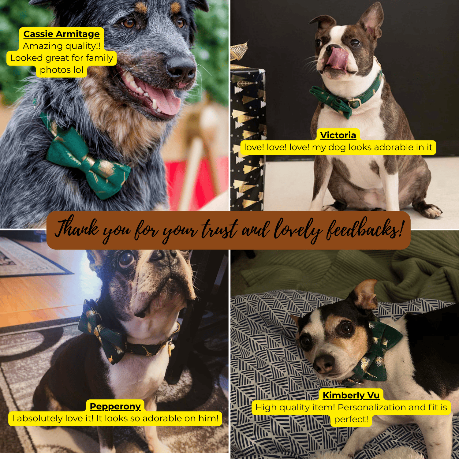 D&D Paws  Green Feather Velvet Floral Dog Collar, Harness & Leash Set – Personalized