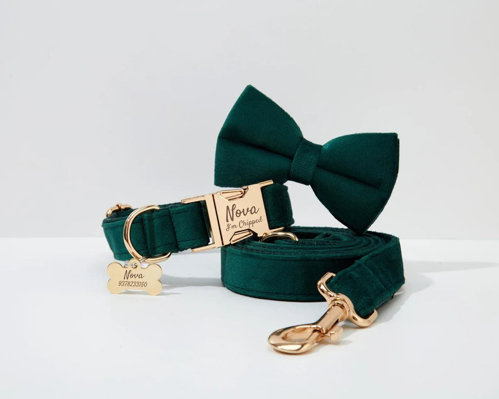 D&D Paws  Green Velvet Modern Luxe Dog Harness, Leash & Collar Set
