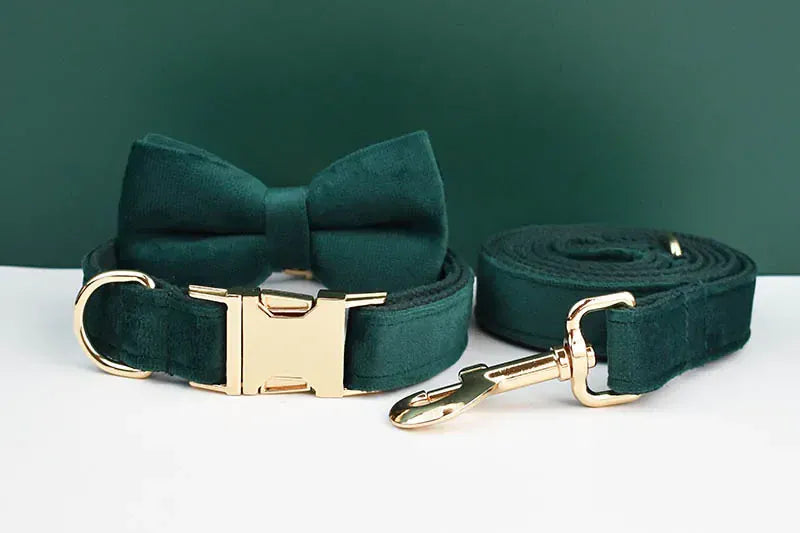 D&D Paws  Green Velvet Modern Luxe Dog Harness, Leash & Collar Set