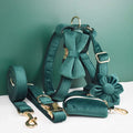 D&D Paws  Green Velvet Modern Luxe Dog Harness, Leash & Collar Set