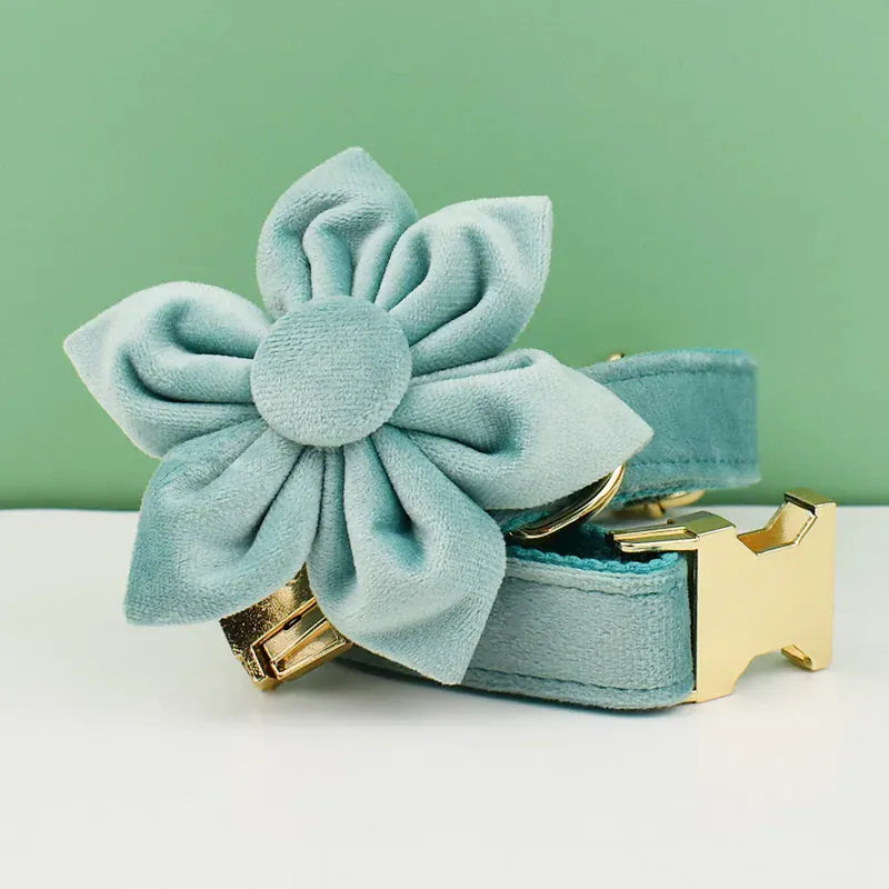 D&D Paws  Green Velvet - Modern Luxe Set