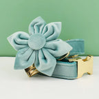 D&D Paws  Green Velvet - Modern Luxe Set