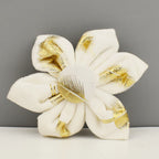 D&D Paws  Ivory Gold Leaf – Modern Luxe Set