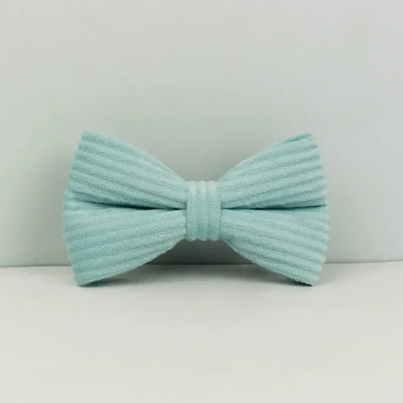 D&D Paws  Lake Green Corduroy Dog Harness, Collar & Leash Set – Classic Elegance