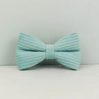 D&D Paws  Lake Green Corduroy Dog Harness, Collar & Leash Set – Classic Elegance