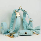 D&D Paws  Lake Green Corduroy Dog Harness, Collar & Leash Set – Classic Elegance