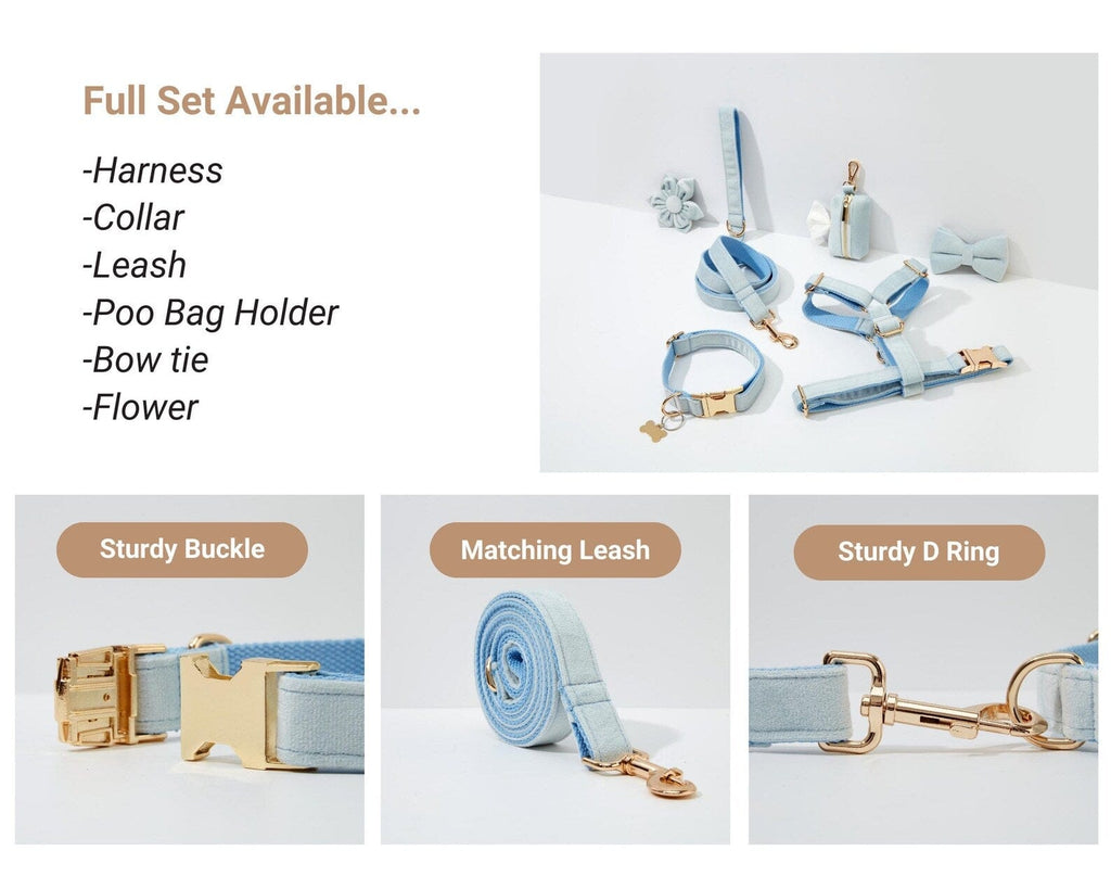 D&D Paws  Light Blue Velvet Dog Collar, Harness & Leash Set – Modern Luxe Personalized