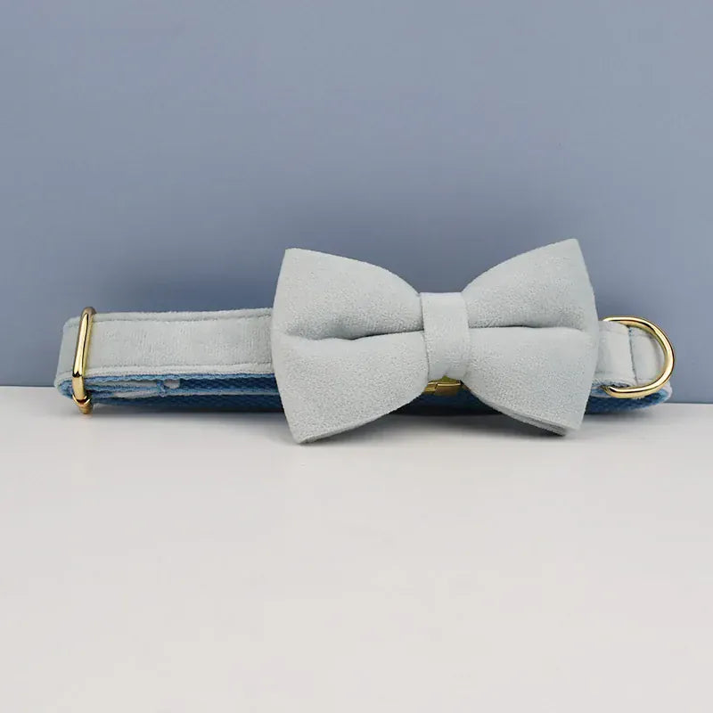 D&D Paws  Light Blue Velvet Dog Collar, Harness & Leash Set – Modern Luxe Personalized