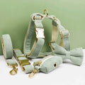 D&D Paws  Light Green Corduroy - Classic Elegance Set