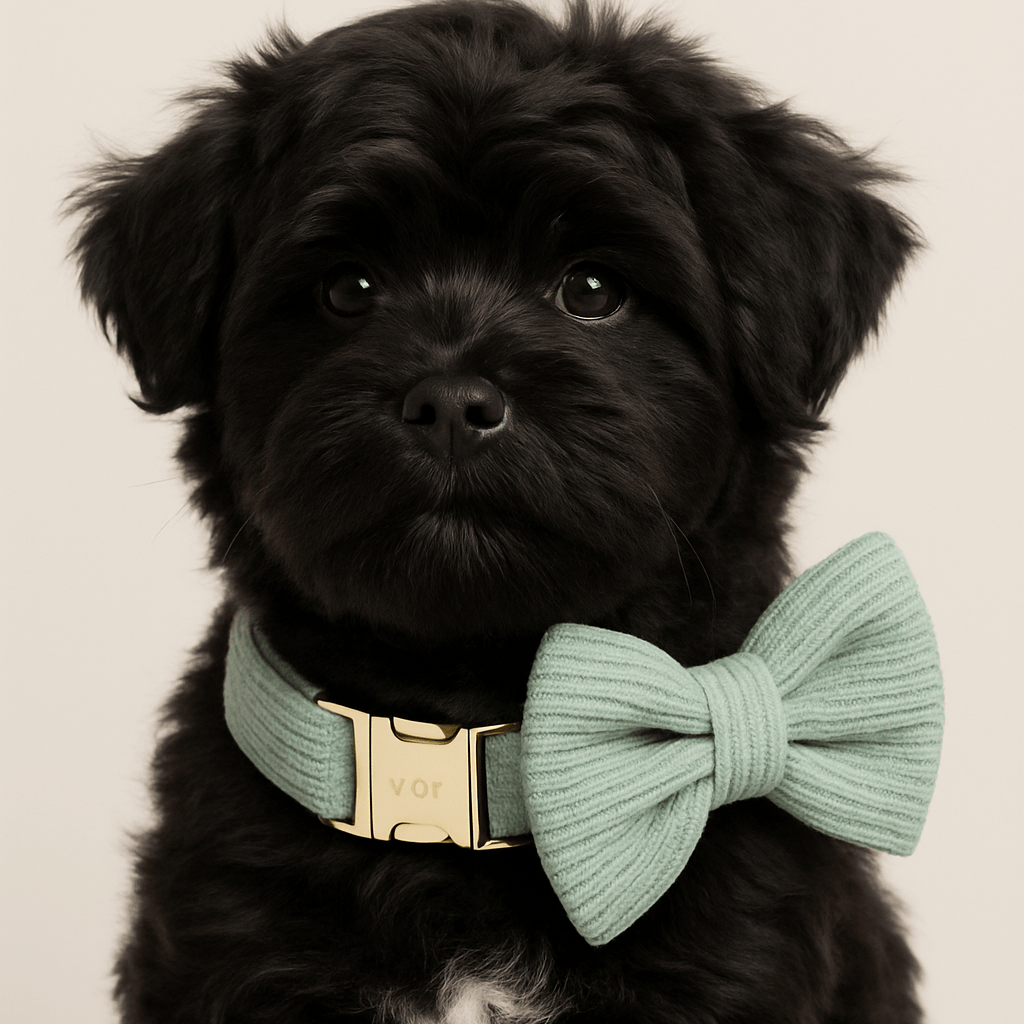 D&D Paws  Light Green Corduroy - Classic Elegance Set