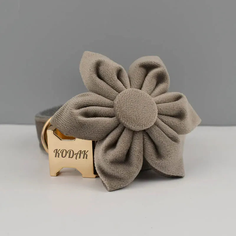 D&D Paws  Light grey Velvet - Modern Luxe Set