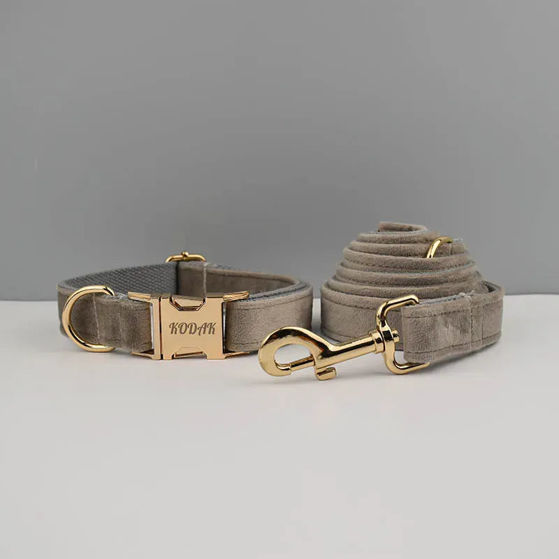 D&D Paws  Light grey Velvet - Modern Luxe Set