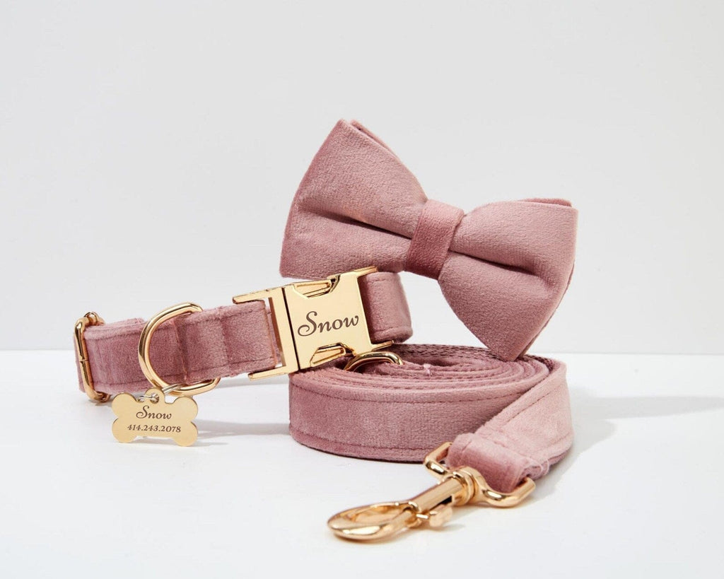 D&D Paws  Light Purple Velvet Dog Collar, Harness & Leash Set – Modern Luxe Personalized