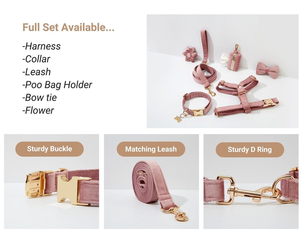 D&D Paws  Light Purple Velvet Dog Collar, Harness & Leash Set – Modern Luxe Personalized