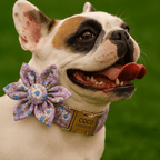 D&D Paws  Lilac Meadow – Floral Collection Set