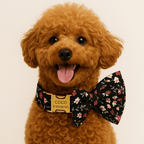 D&D Paws  Midnight Blossom – Floral Collection Set