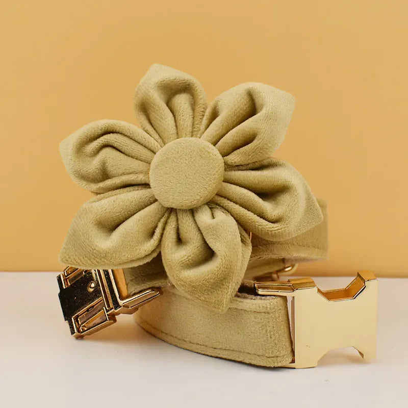 D&D Paws  Nude Velvet - Modern Luxe Set