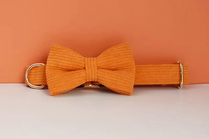D&D Paws  Orange Corduroy - Classic Elegance Set