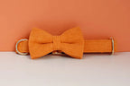 D&D Paws  Orange Corduroy - Classic Elegance Set