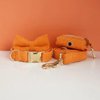 D&D Paws  Orange Corduroy - Classic Elegance Set