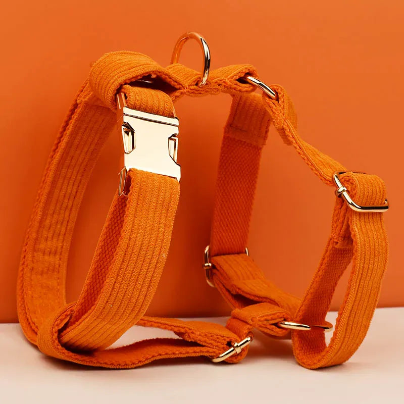 D&D Paws  Orange Corduroy - Classic Elegance Set