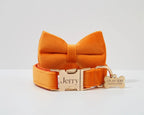 D&D Paws  Orange Velvet - Modern Luxe Set