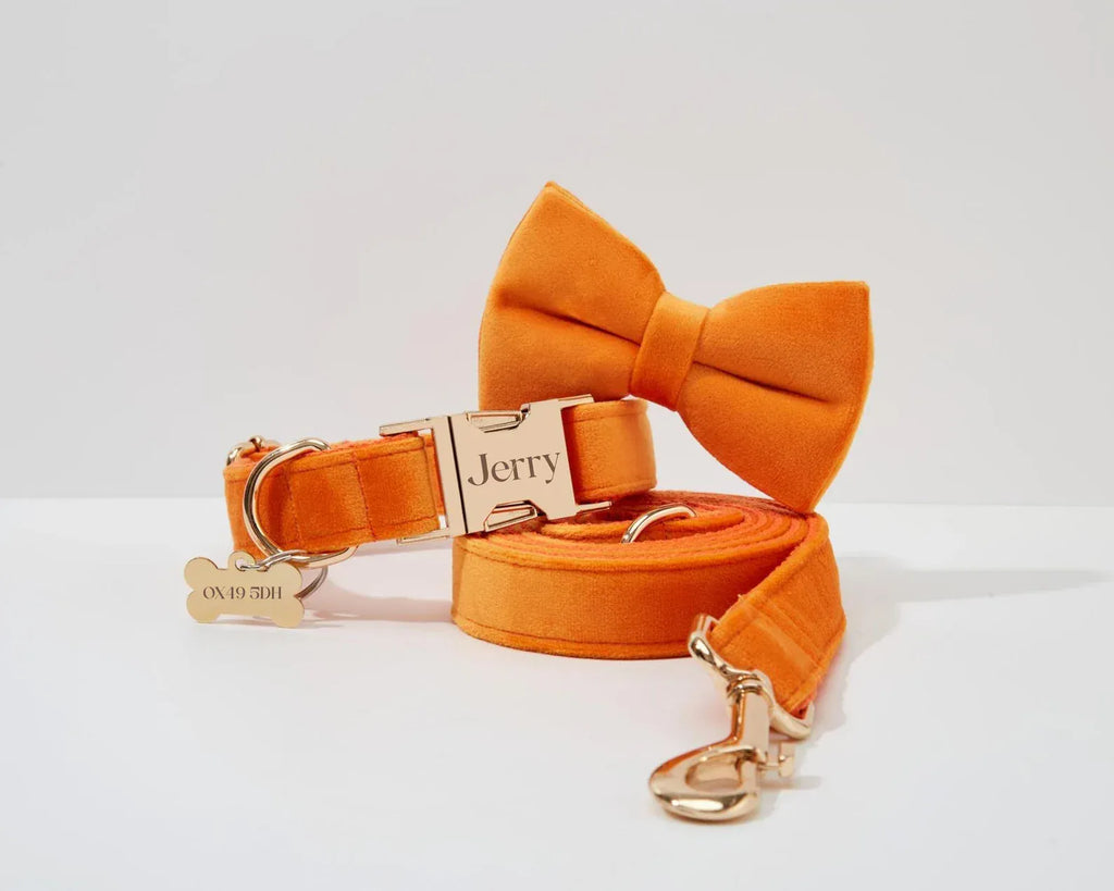 D&D Paws  Orange Velvet - Modern Luxe Set