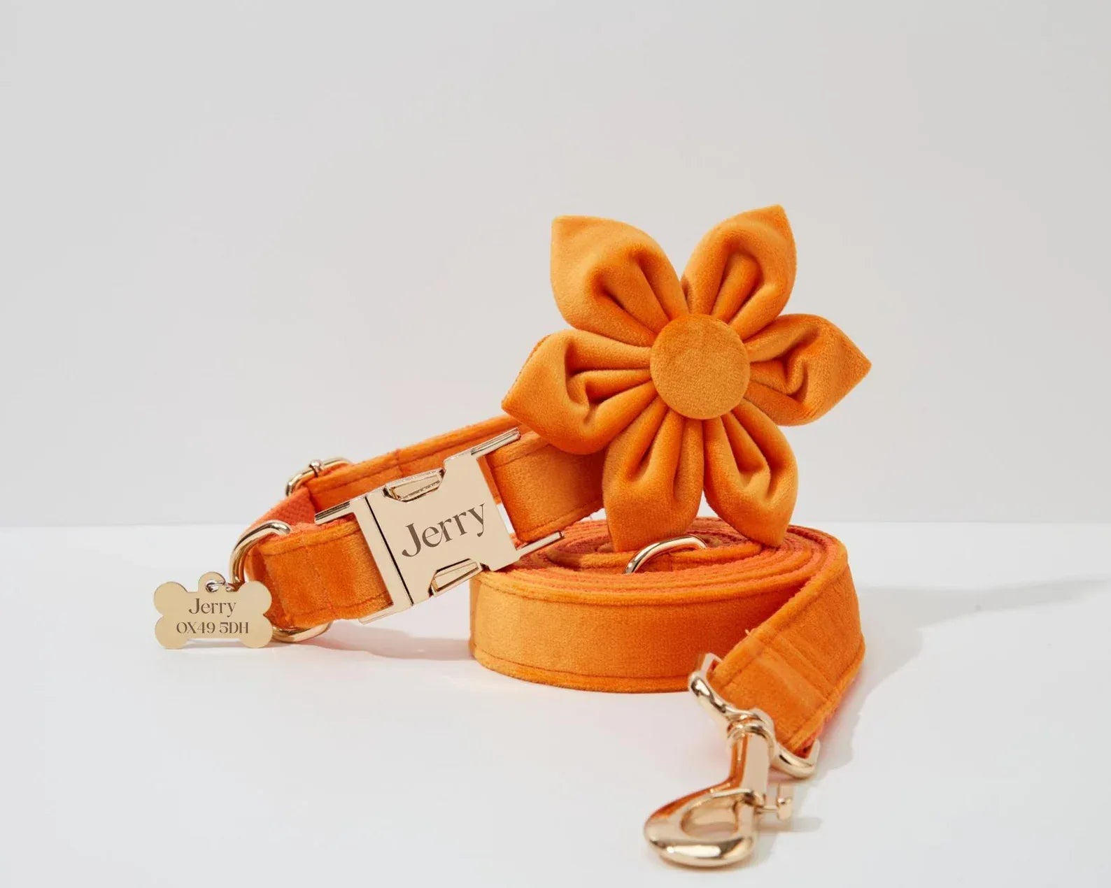D&D Paws  Orange Velvet - Modern Luxe Set