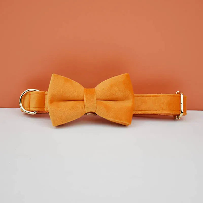 D&D Paws  Orange Velvet - Modern Luxe Set