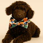 D&D Paws  Painted Petals – Floral Collection Set