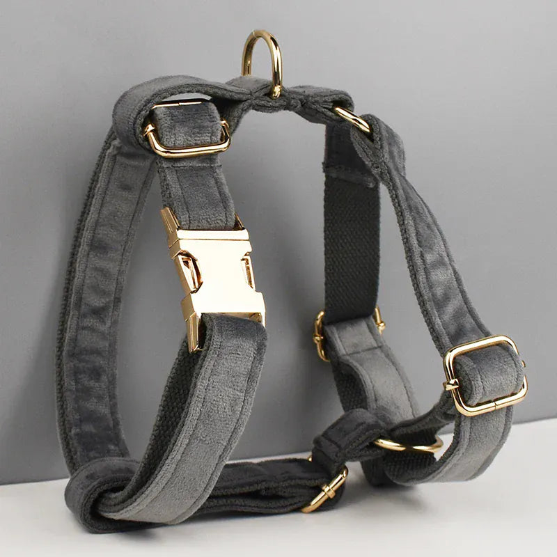 D&D Paws  Personalized Dark Grey Velvet Dog Harness & Collar Set – Modern Luxe