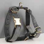 D&D Paws  Personalized Dark Grey Velvet Dog Harness & Collar Set – Modern Luxe