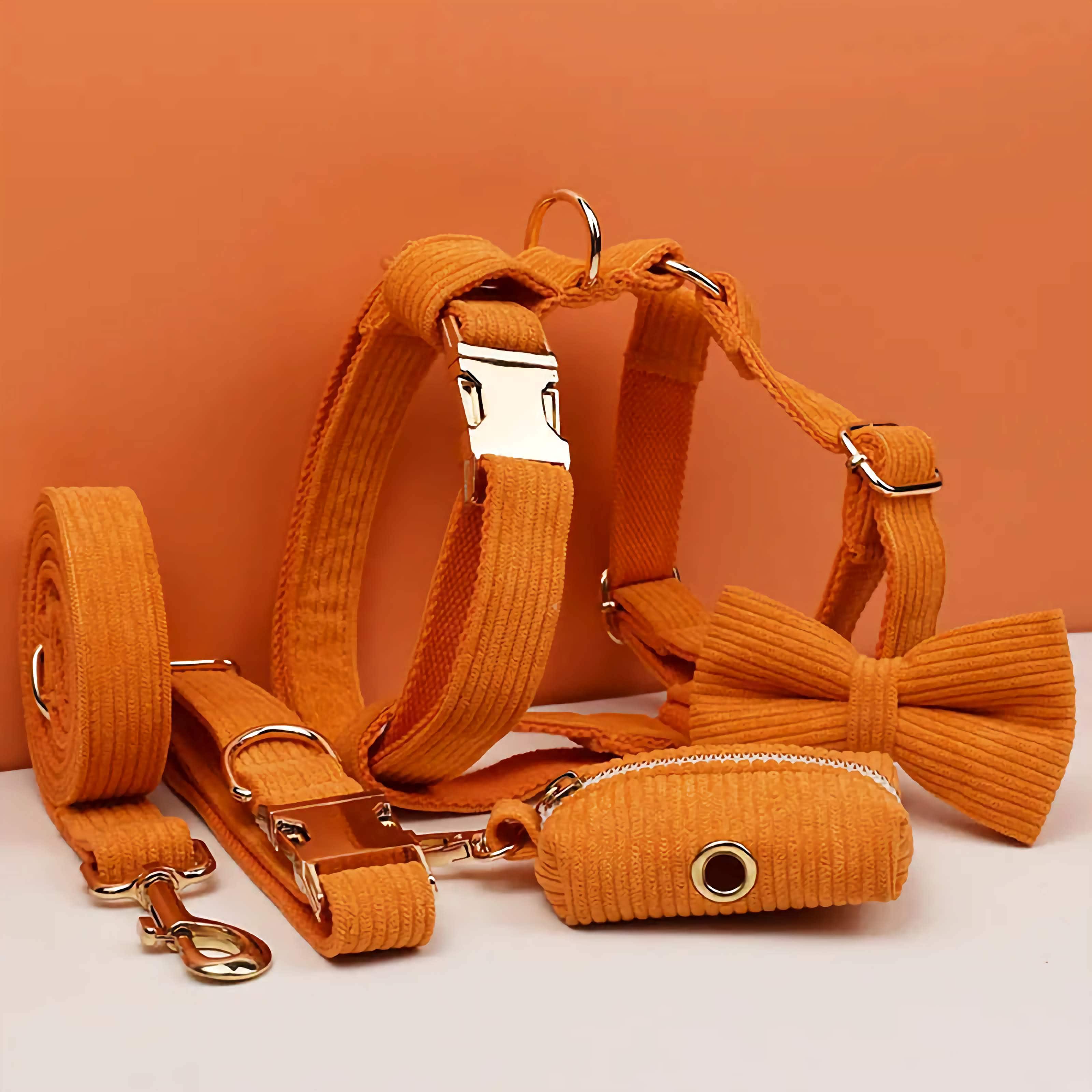 D&D Paws  Personalized Orange Corduroy Dog Harness, Collar & Leash Set