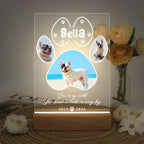 D&D Paws  Personalized Pet LED Night Light – Custom Photo Memorial Frame with Name & Date