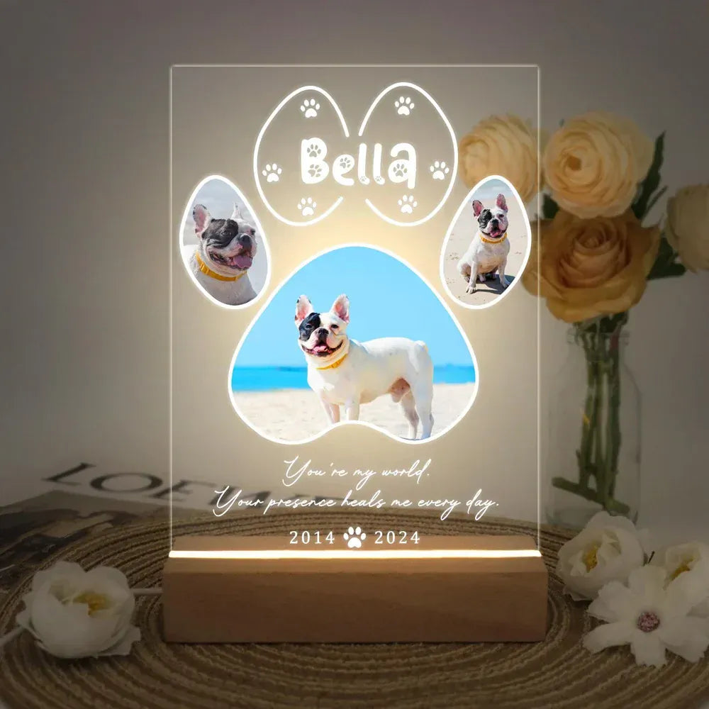 D&D Paws  Personalized Pet LED Night Light – Custom Photo Memorial Frame with Name & Date