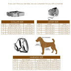 D&D Paws  Pink Velvet Dog Collar, Harness & Leash Set – Modern Luxe Personalized