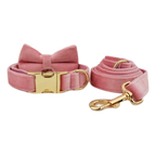 D&D Paws  Pink Velvet Dog Collar, Harness & Leash Set – Modern Luxe Personalized
