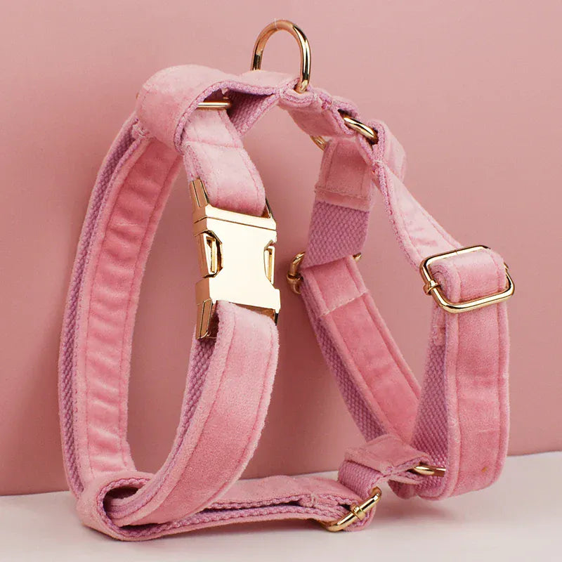 D&D Paws  Pink Velvet Dog Collar, Harness & Leash Set – Modern Luxe Personalized