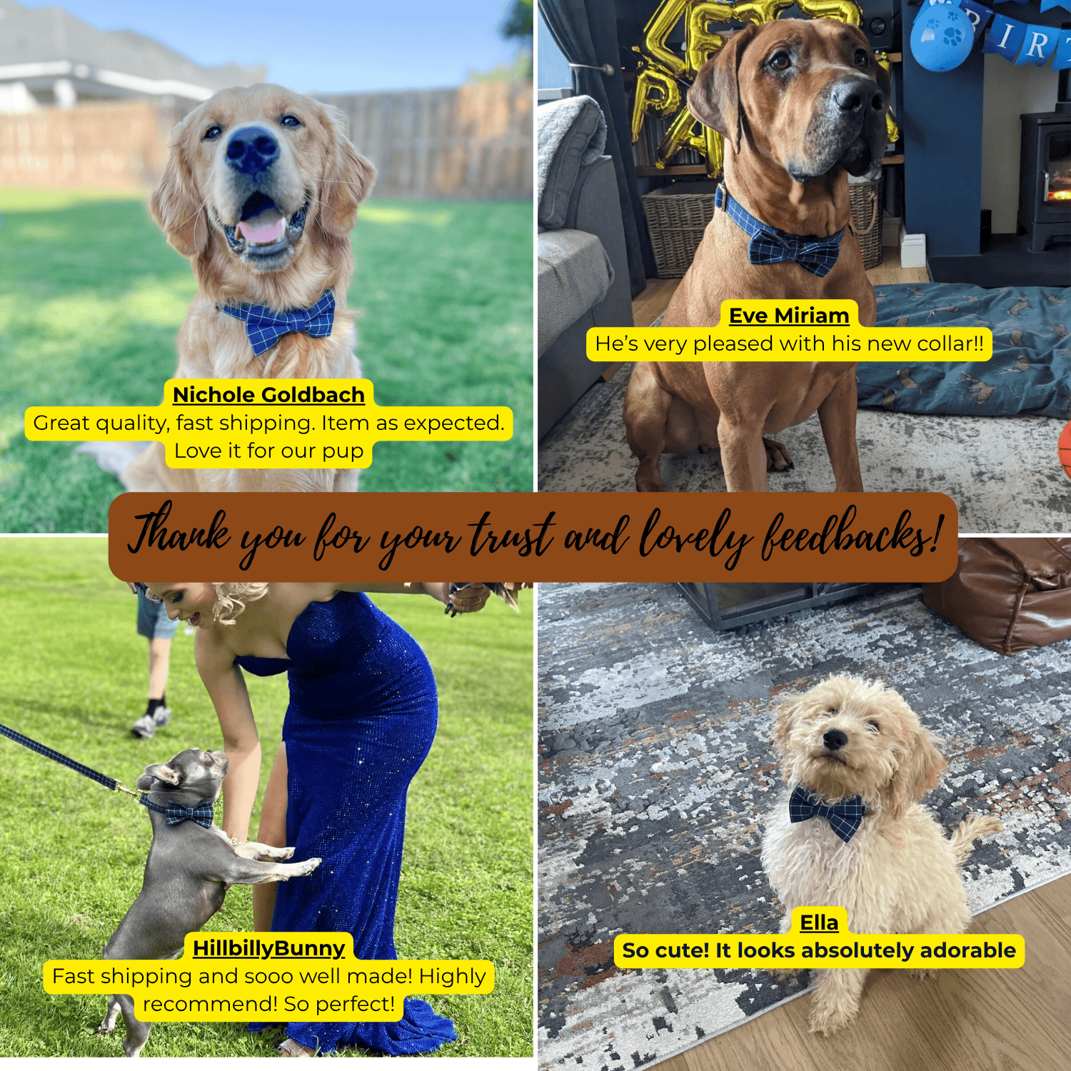 D&D Paws  Plaid Dark Blue Dog Collar, Leash & Harness Set – Classic Elegance