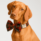 D&D Paws  Red Tartan Christmas Dog Harness, Collar & Leash Set – Personalized Holiday Style