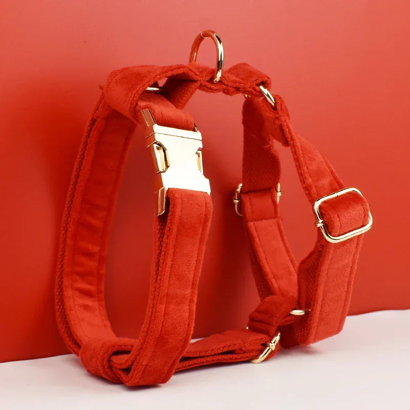 D&D Paws  Red Velvet Dog Harness, Collar & Leash Set – Modern Luxe Collection