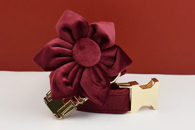 D&D Paws  Red Wine Velvet - Modern Luxe Set