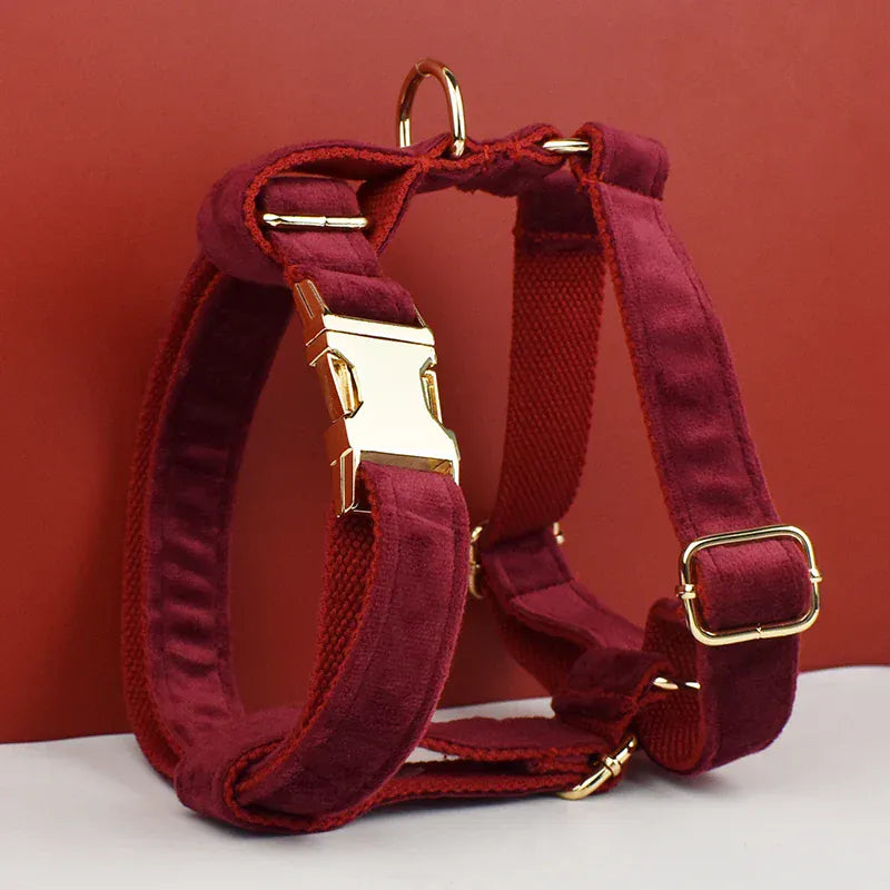 D&D Paws  Red Wine Velvet - Modern Luxe Set