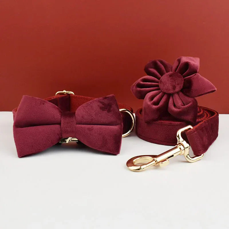D&D Paws  Red Wine Velvet - Modern Luxe Set