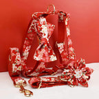 D&D Paws  Ruby Bloom Floral Dog Collar, Harness & Leash Set – Personalized